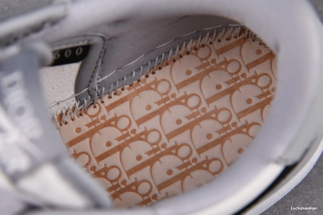 Rep LUCY JORDAN DR X CN8607-002 LOW box) 1 (DR OG shoe 0814